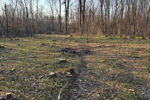 Terreno agricolo boschivo