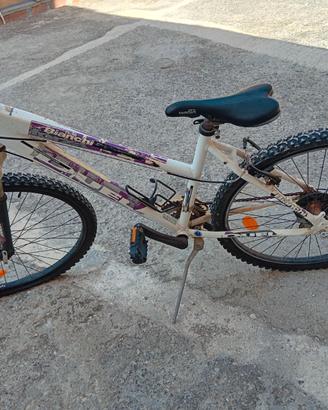 Bicicletta Bianchi