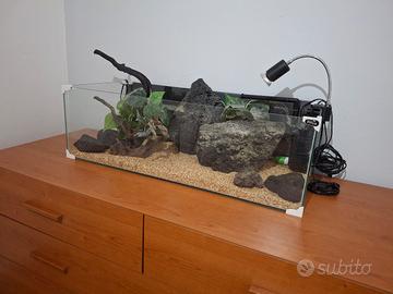 acquario tartarughiera vasca 