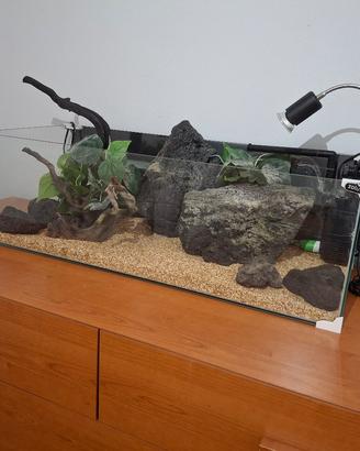 acquario tartarughiera vasca 
