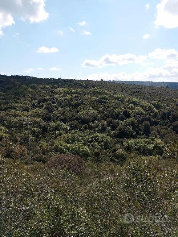 Bel Terreno a Logulentu mq 13981 - Vista 4