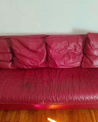 divano roche bobois