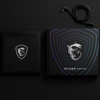 LAPTOP MSI Raider GE68HX 13VG-040IT