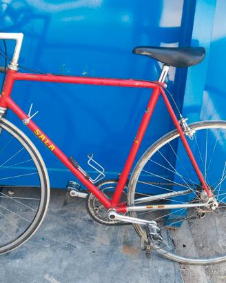 Bici Sala, telaio acciaio COLUMBUS