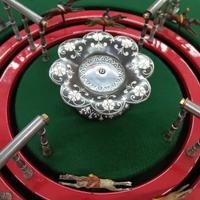 gioco corsa dei cavalli