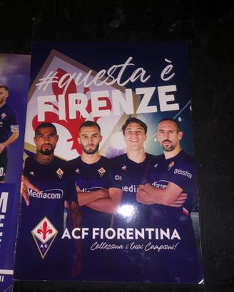Album ufficiale Fiorentia