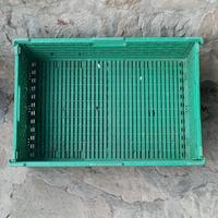 Cassette Richiudibili 20 Pz - Portaoggetti 