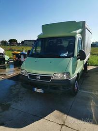Fiat ducato 2.8