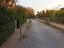 Immagine 16