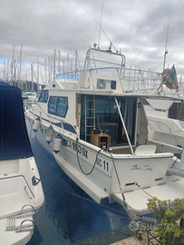 Barca a motore Dc 11