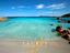 Immagine 9