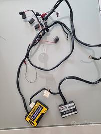 centralina power commander Arrow