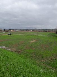 Terreno agricolo Empoli