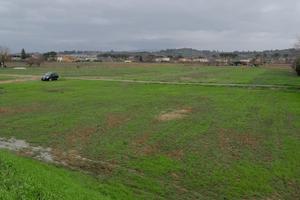 Terreno agricolo Empoli