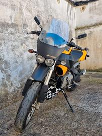 Buell xb12 Ulysses