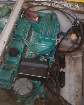 Coronet 22 sport
