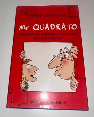 Libro- Anna Cerasoli Mr quadrato