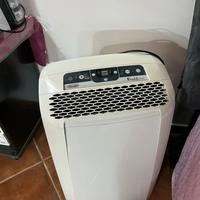 Pinguino condizionatore