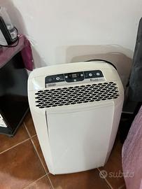 Pinguino condizionatore