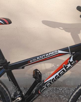 Bici mtb 