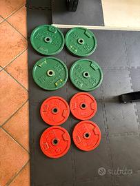Dischi ghisa decathlon 5kg e 10kg
