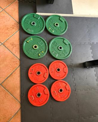 Dischi ghisa decathlon 5kg e 10kg