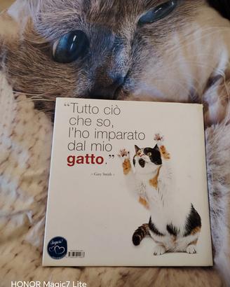 libro Gatti alla riscossa 