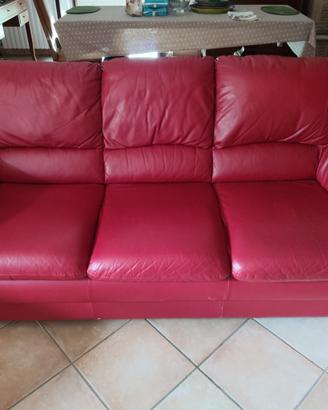 Divani 2 e 3 posti + tavolo allungabile