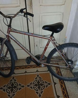 Bicicletta mountain bike da uomo ruote 26