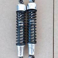 Amministratori Harley Davidson sporster