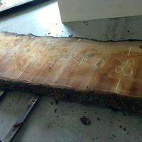 tavola piano in pezzo unico cedro del libano