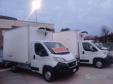 FIAT DUCATO FRIGO 2019  