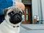 Immagine 4