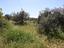 Immagine 22