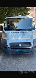 Ducato frigo coibentato