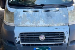 Ducato frigo coibentato