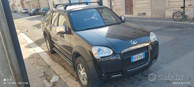 Great wall steed