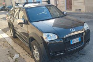 Great wall steed