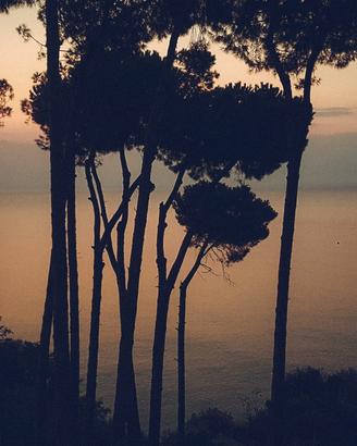 Monolocale Vista Mare - Baia di Copanello