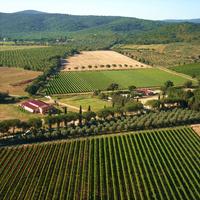 Azienda vinicola, mura, terreni