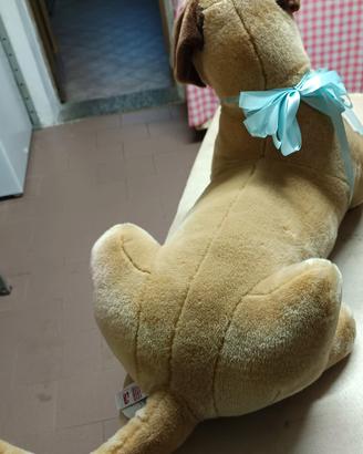 cane in peluche 