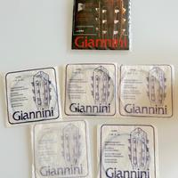 Corde della Chitarra Giannini