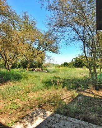 MAGAZZINO A RONDISSONE