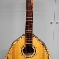 chitarra con guscio tartaruga (in regola Cities)