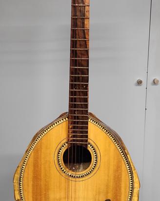 chitarra con guscio tartaruga (in regola Cities)