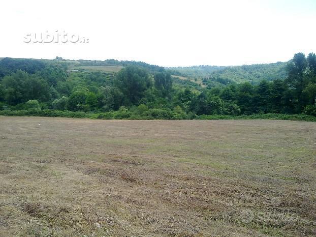 Si vende Terreno agricolo con rudere in San Fele - Vista 4