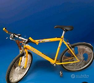 Mountain Bike RENDEZ-VOUS Taglia XL