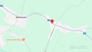 Terreno agricolo 12 ettari