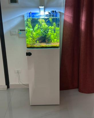 Acquario