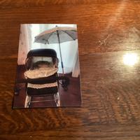 Carrozzina bambole Reborn